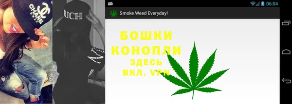 сатива Балабаново