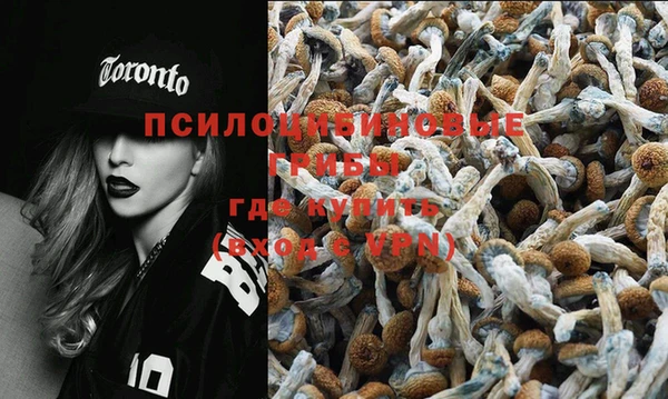 первитин Няндома