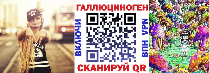 Псилоцибиновые грибы Cubensis  Старая Русса 